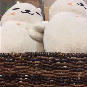 Meet your Posher, Connie